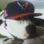 Jorge Ortegon - @tupac_dog_under - Instagram