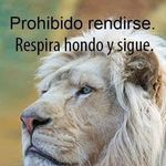 Jorge Osejo - @jorge.osejo.31 - Instagram