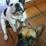 Jorge Page - @jorgepage954 - Instagram