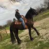 Jorge Palma - @jorgepalma - TikTok