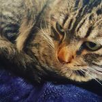 Jorge París Pérez - @jorgeparisperez - Instagram