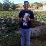 Jorge Pesina - @jorge_pecina - Instagram