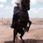 Jorge Evelio Plata - @jorgeevelioplata - Instagram