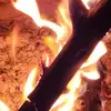 jorgeerdmannreich - @jorgeerdmannreich - TikTok