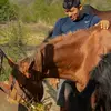 Jorge Risco - @jorge.risco56 - TikTok