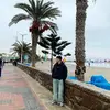 Jorgerisco - @jorgerisco14 - TikTok