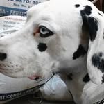 Jorge Samayoa - @cocosamagua - Instagram