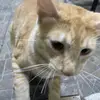 Jorge Samayoa - @jorge.samayoa81 - TikTok