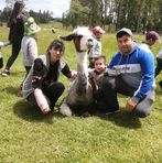 Jorge Saravia - Facebook