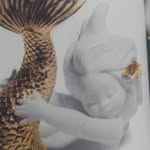 Jorge Serra Dutra - @jorgeserradutra - Instagram