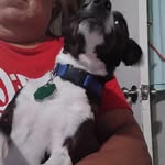 Jorge Sustaita - @sustaita5098 - Instagram