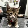 Jorge - @jorge.wences - TikTok