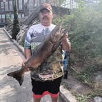 Jorge Wright - Facebook
