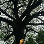 Jori Ludtke-Smith - @avioletmind - Instagram