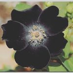name;sara - @jory.black.90 - Instagram
