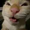 Joseadan - @joseadan928 - TikTok