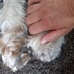 José Aerts - @jose.aerts.338 - Instagram