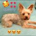 Marie-José Aerts - Facebook