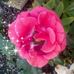 Jose Ismael Ramirez Ake - Facebook