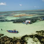 Jose Alcides - @passeios_piscinanatural - Instagram