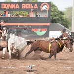 José Alcides Castro - @josealcides.castro - Instagram