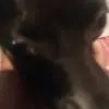 Jose Aldaba - @josealdaba19 - TikTok