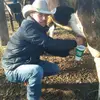 Jose Anselmo - @jose.anselmo21 - TikTok