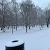José Díaz - @josearcos256 - TikTok