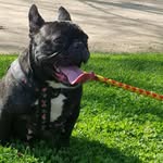 Jose Argote - @jargote2 - Instagram