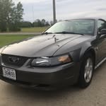 Joey Bachman - @josephxbachman - Instagram