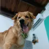 Baileyjose - @baileyjose6 - TikTok