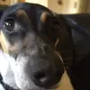 Jose_Bailey - @jose_bailey - TikTok