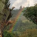 Jose Antonio Baldan - @jose_antonio_baldan - Instagram