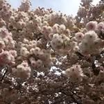 Jose Basulto - @joma78basulto - Instagram