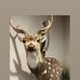 Jose Beato - Facebook