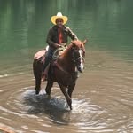 Jose Becerril - @jose.becerril2 - Instagram