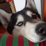 Jose Becerril - @becerril546 - Instagram