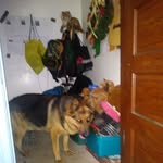 jose becerril - @coca_cola_man316 - Instagram