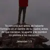 Jose Berroa - @jose.berroa8 - TikTok