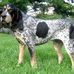 Jose Blair - Facebook