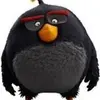 Jose Bob - @josebob3 - TikTok