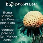 José Bonnér - @josebonner6 - Instagram
