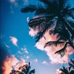Jose Maria Borrell Aponte - @__wfck - Instagram