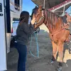 josey_brooks - @josey_brooks - TikTok