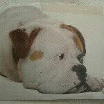 Jose Eduardo Loor Buitron - @joseeduardoloorbuitron - Instagram