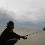 Jose Bush - @bush_jose - Instagram