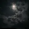 Jose Bush - @josebush6473 - TikTok