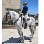 Jose Butron - @josebutronfornell - Instagram