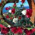 Jose Alfredo Cabañas Vergara - Facebook
