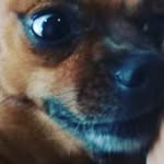 @josecabanas - @josevcabanas - Instagram